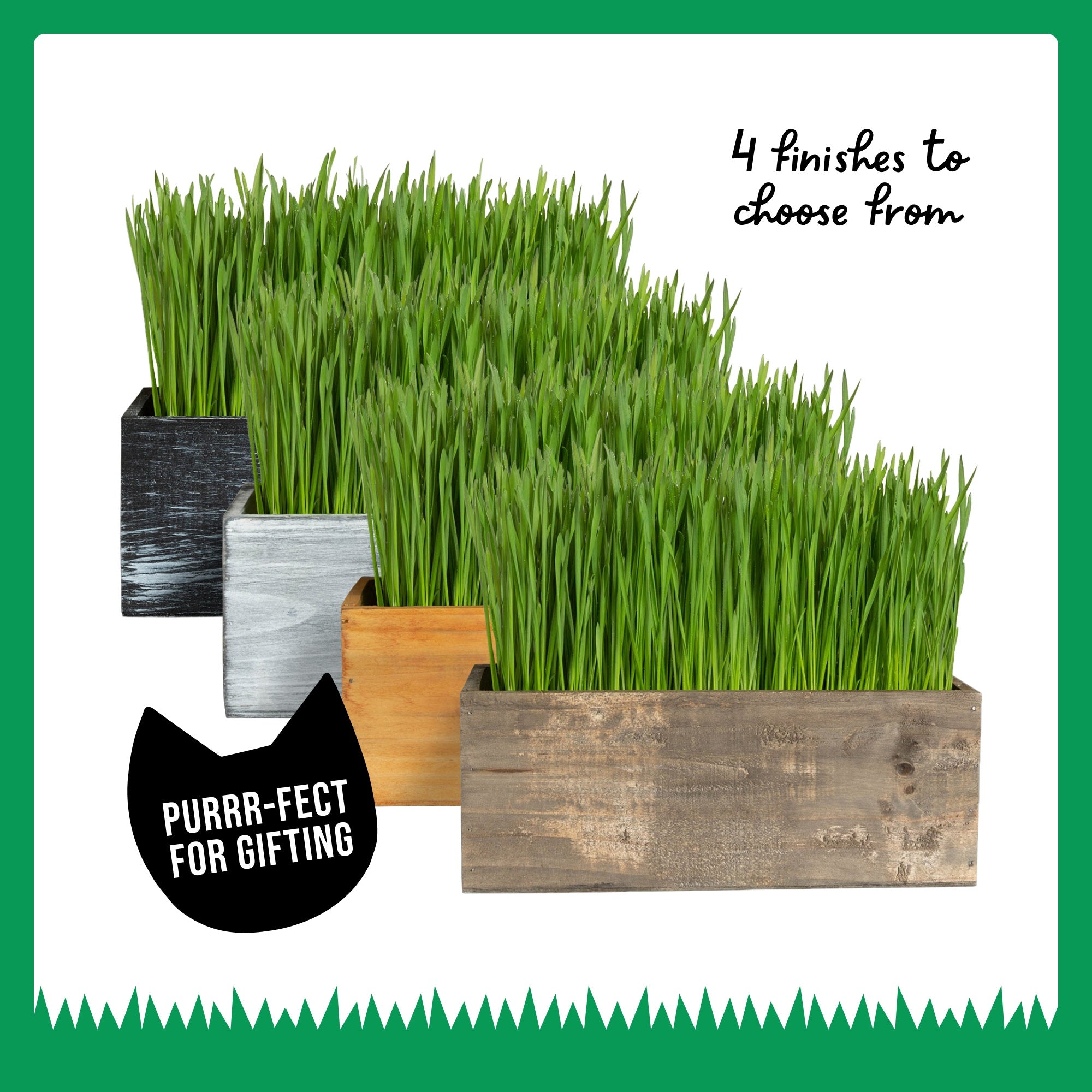 Cat Grass Kit (Organic) Complete with Rustic Wood Planter, Seed and Soil - Dark Brown