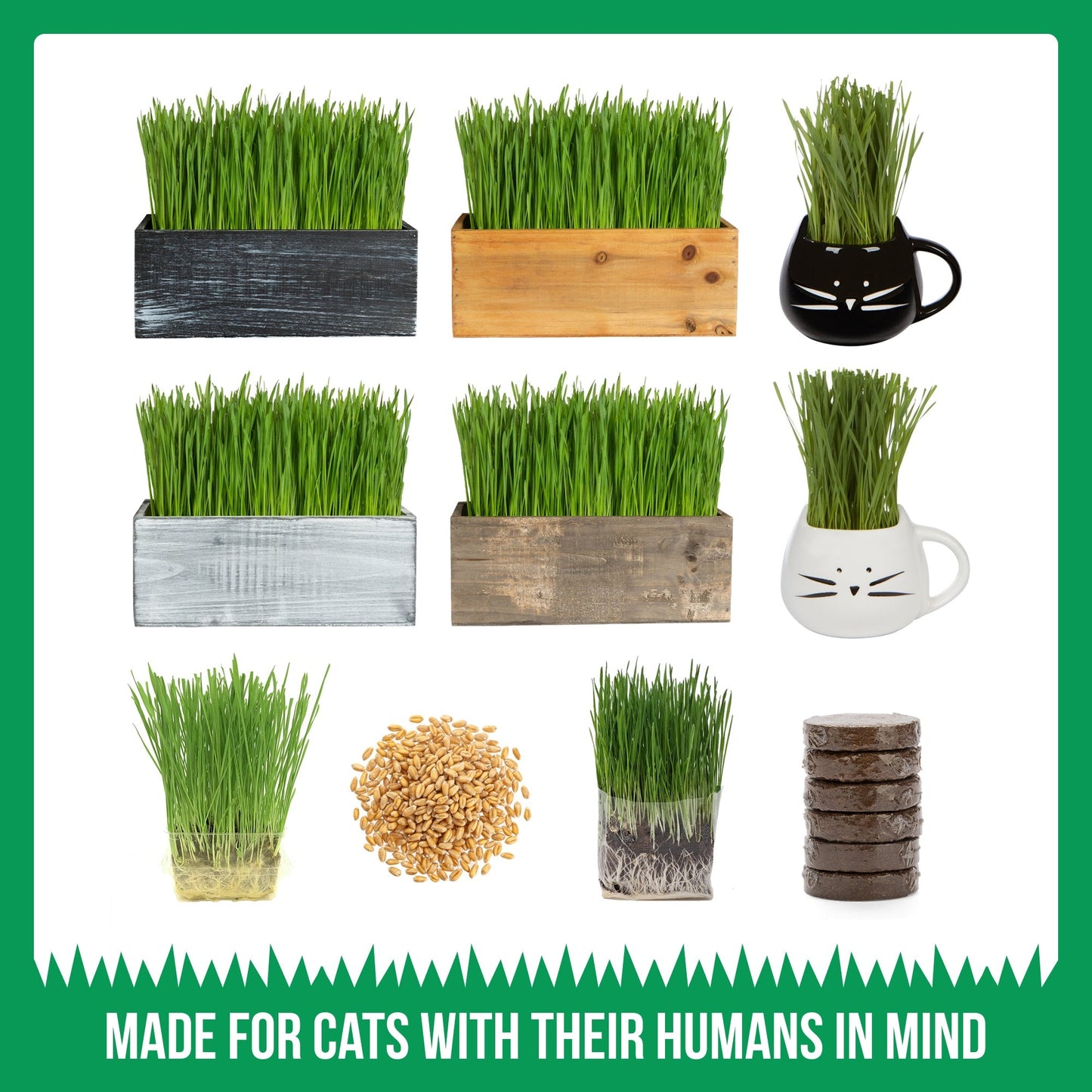Cat Grass Kit with Organic Cat Grass Seeds - Rustic Wood Planter (Dark Brown)