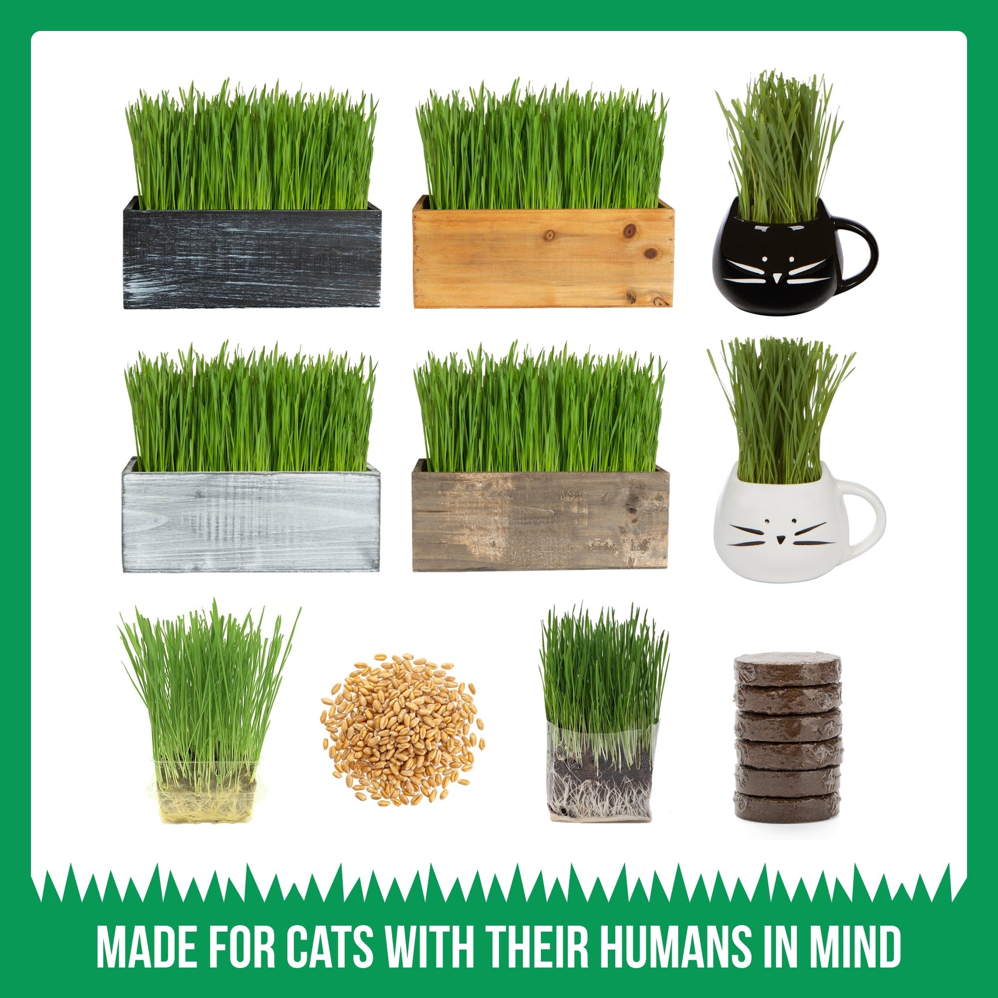 Cat Grass Kit (Organic) Complete with Rustic Wood Planter, Seed and Soil - Dark Brown